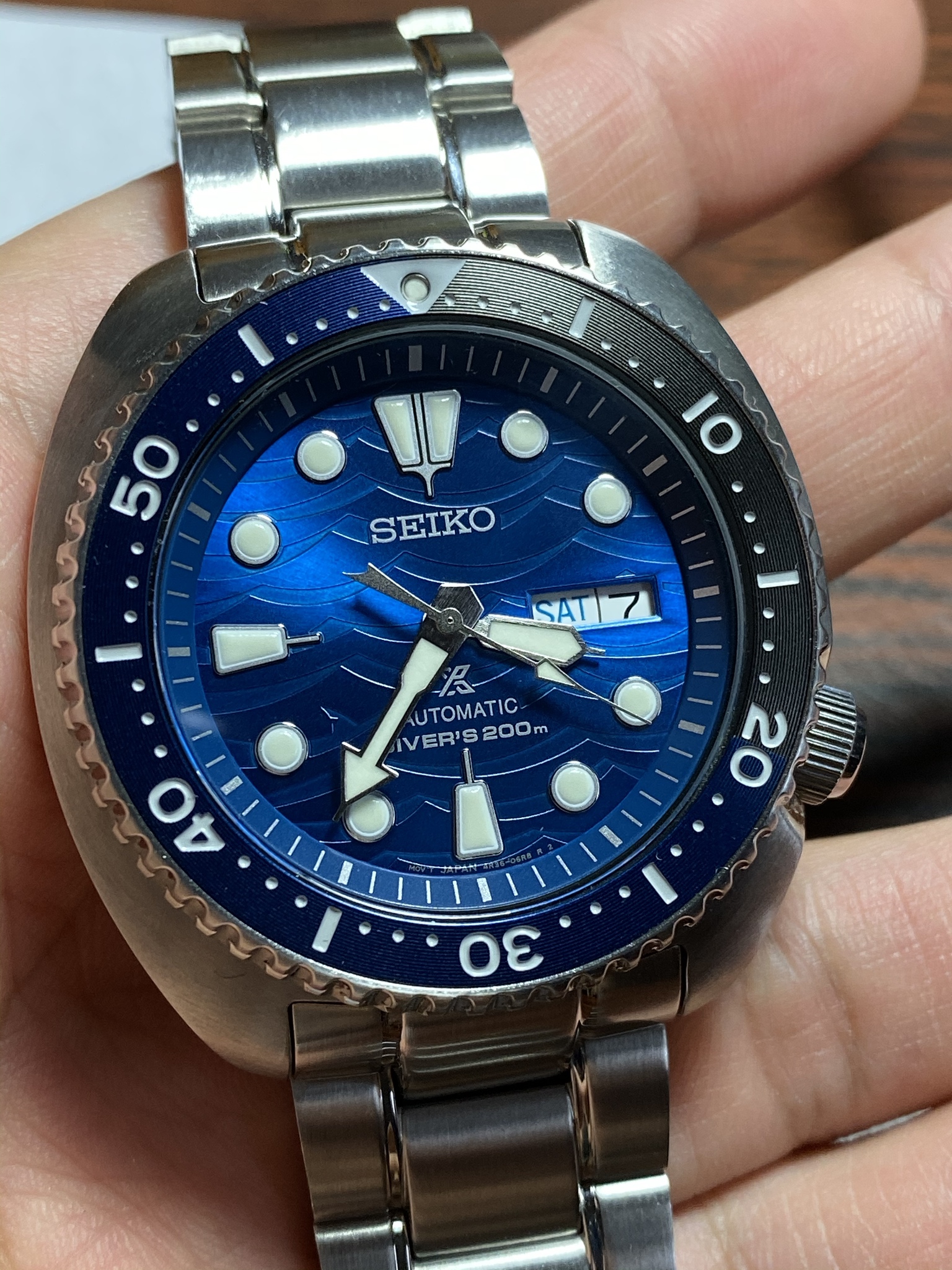 WTS] Seiko Turtle Save the Ocean "Great White Shark" [B] WatchCharts