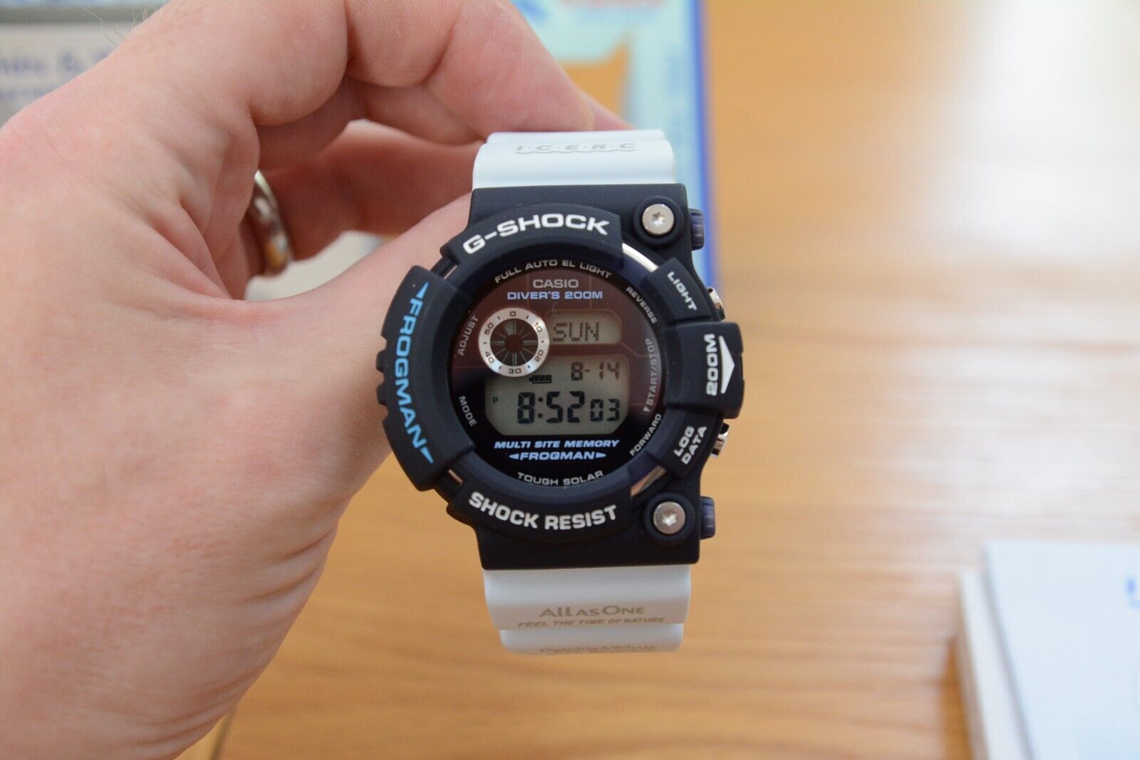 Casio G shock GW-205K-2JR Dolphin and Whale Frogman *Rare