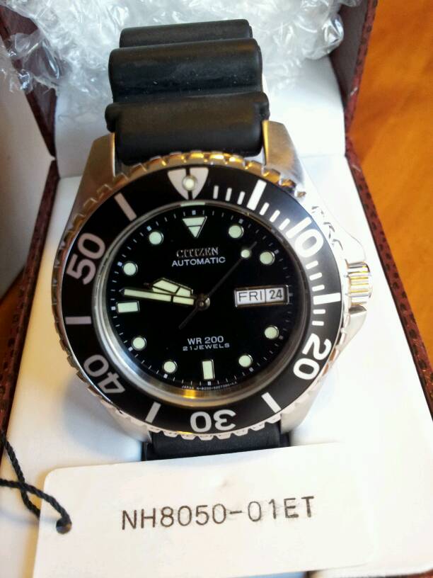 citizen dolphin diver