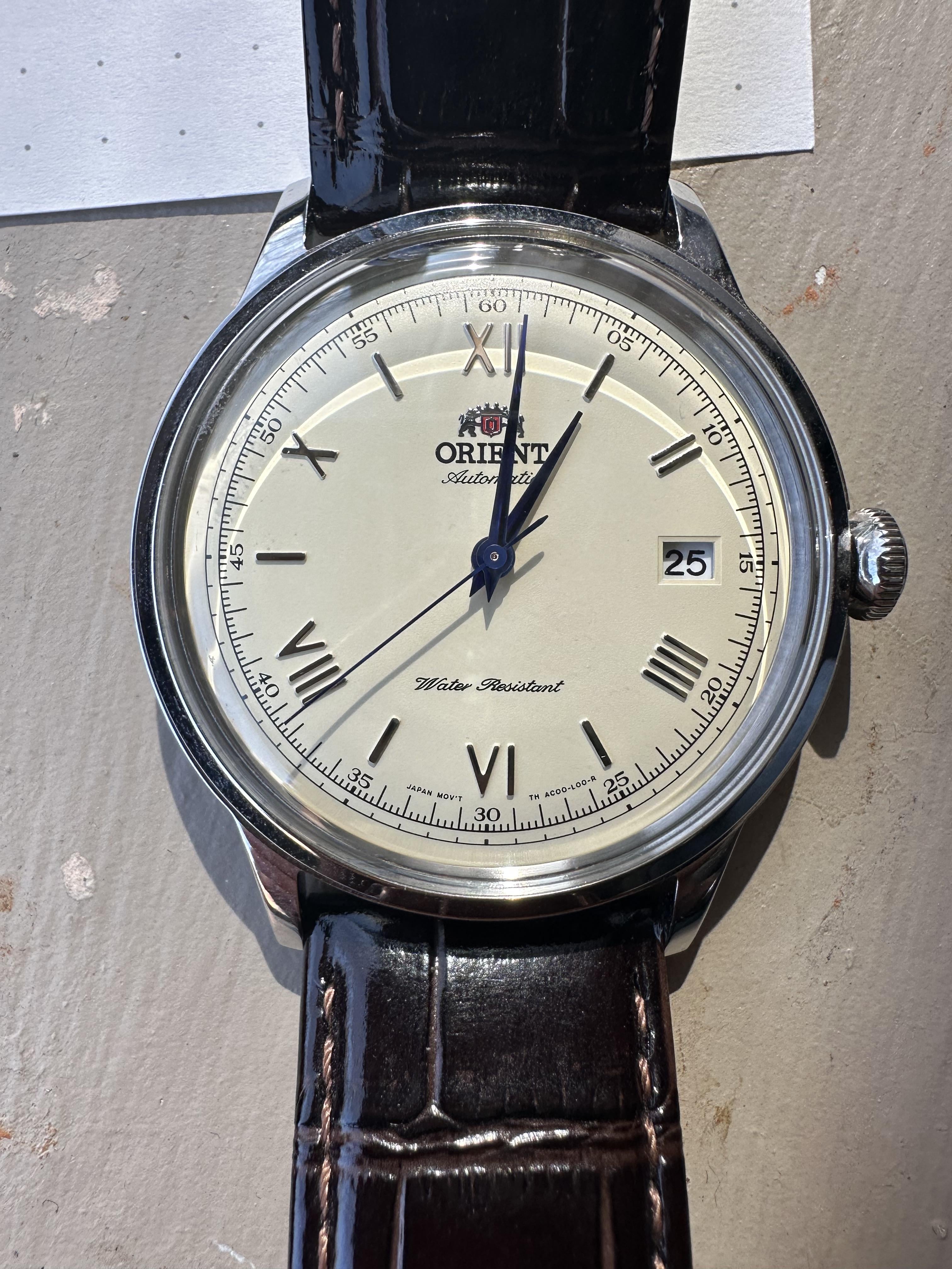 Orient discount bambino 40mm