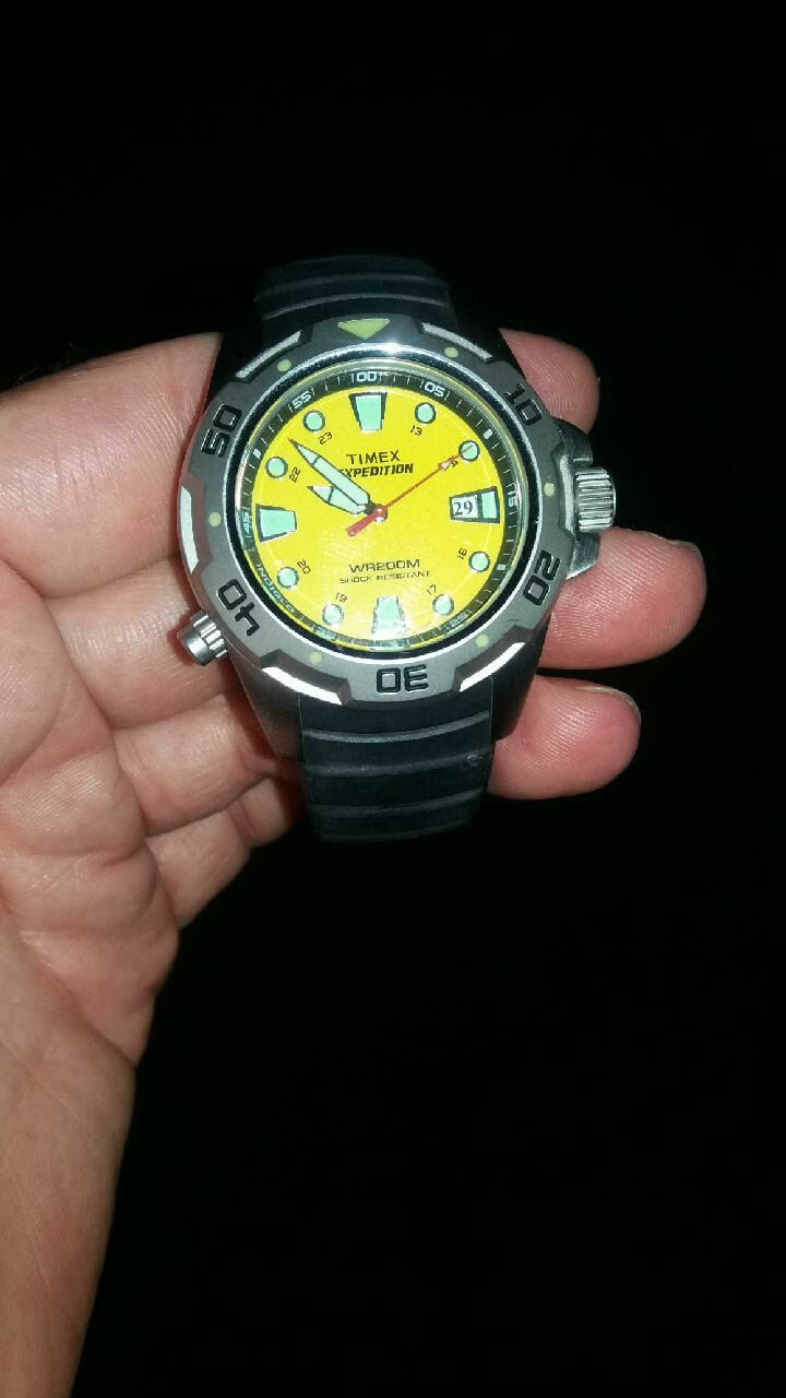 Timex hotsell indiglo diver