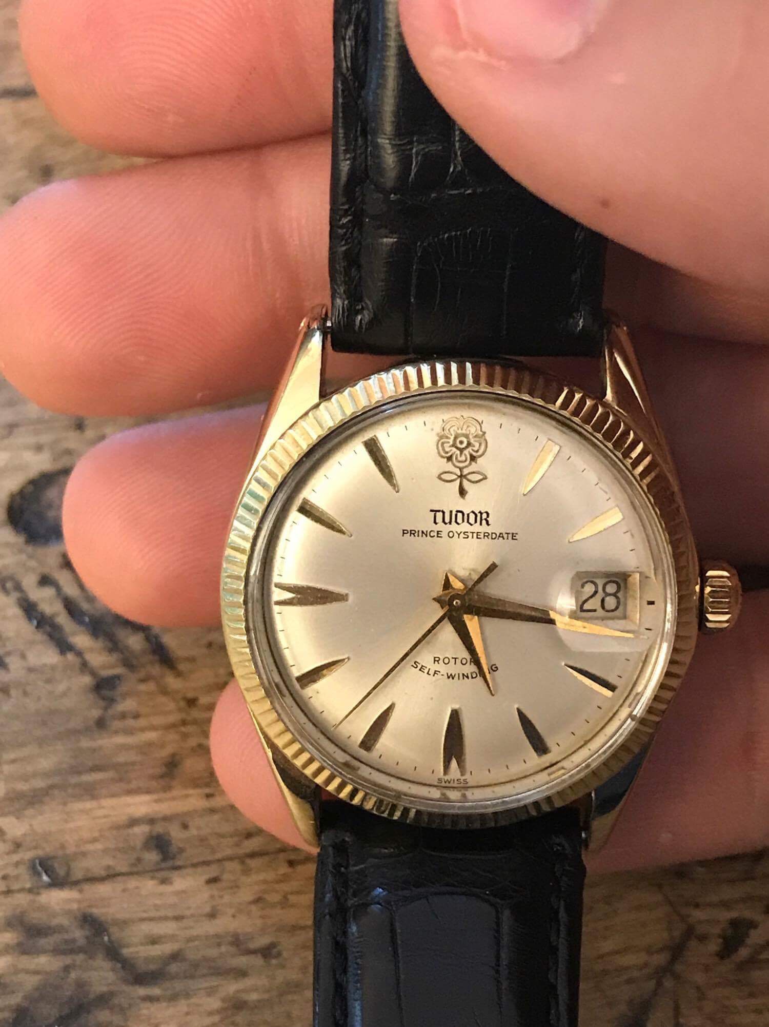 Tudor 7966 shop big rose