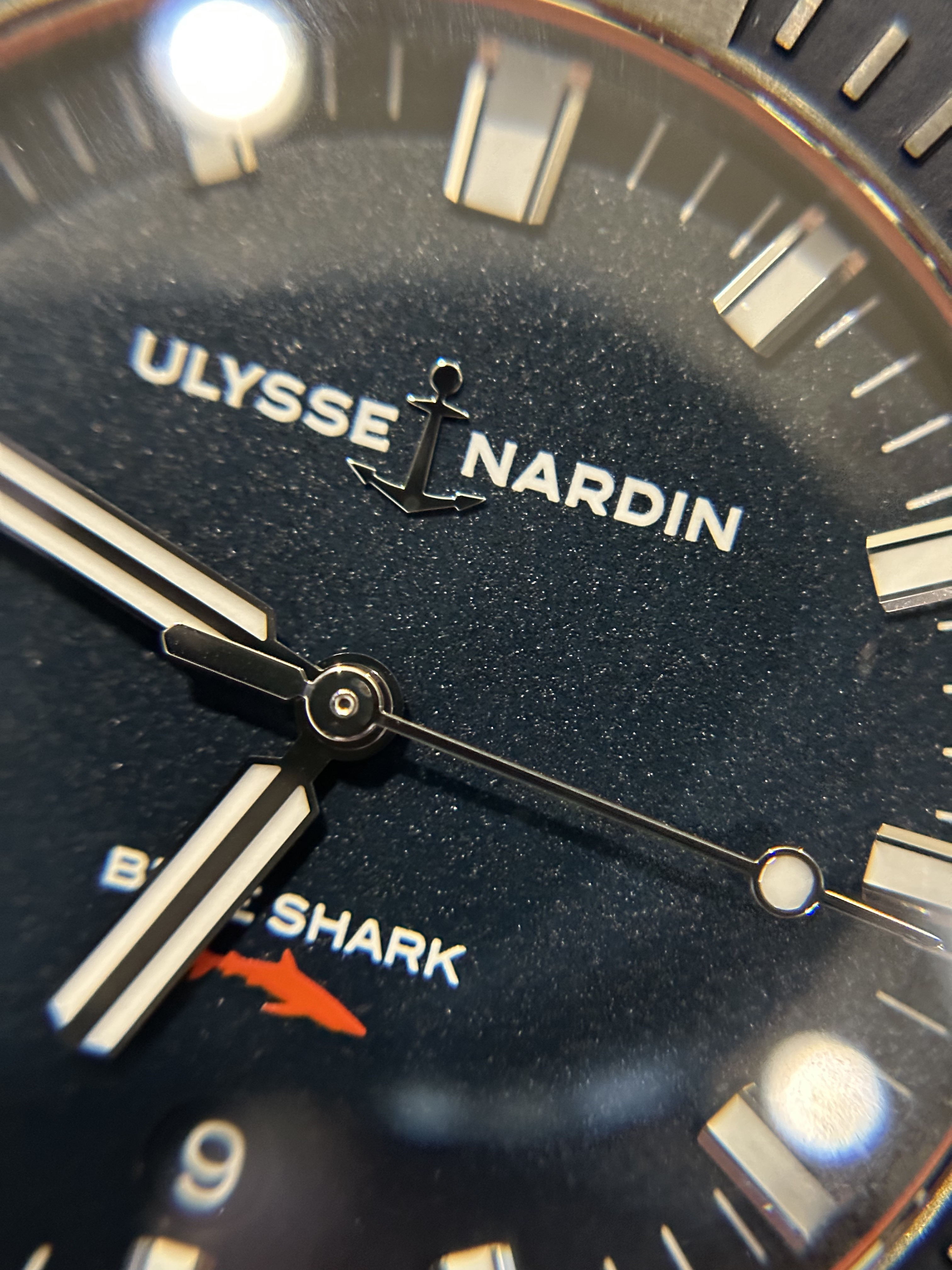 Ulysse nardin blue on sale shark