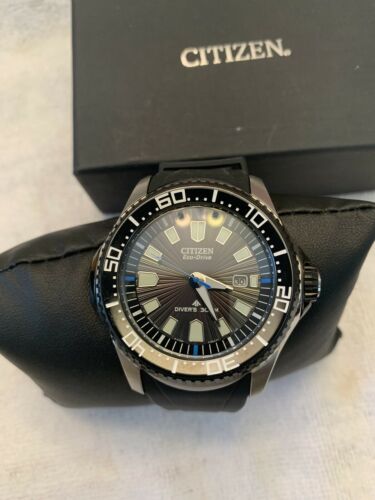 citizen 300 meter dive watch