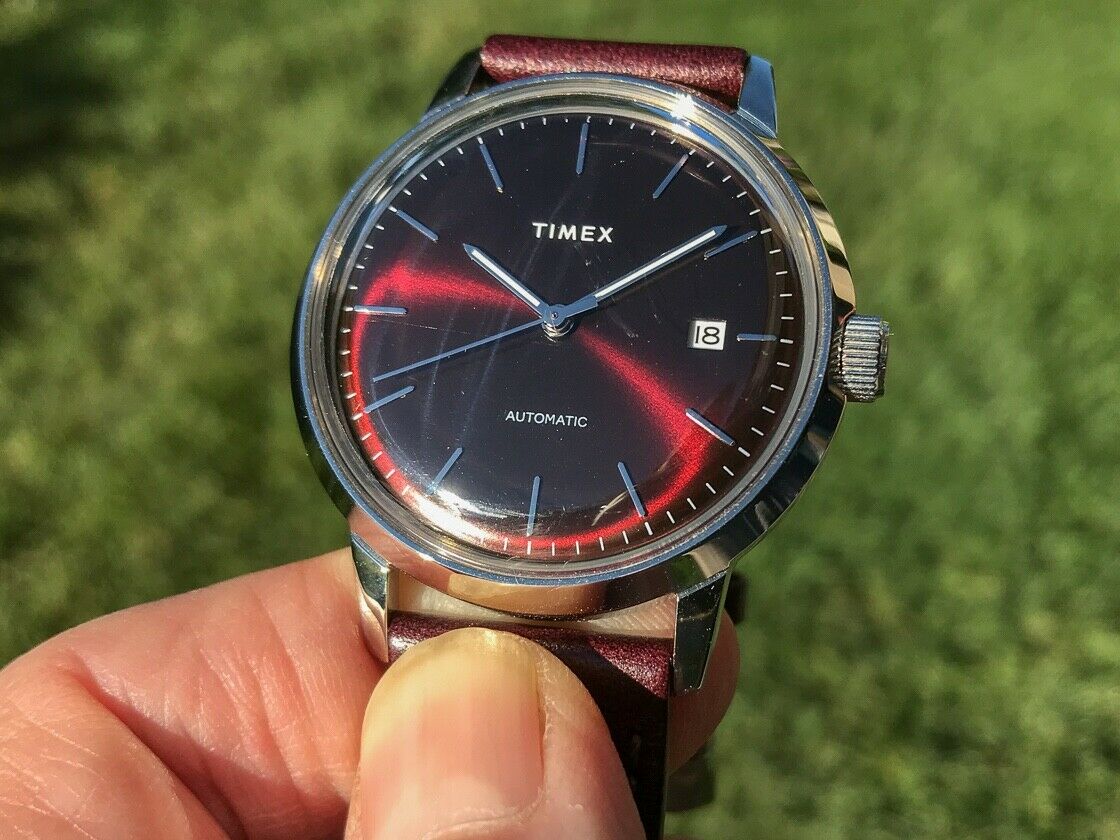 timex marlin burgundy