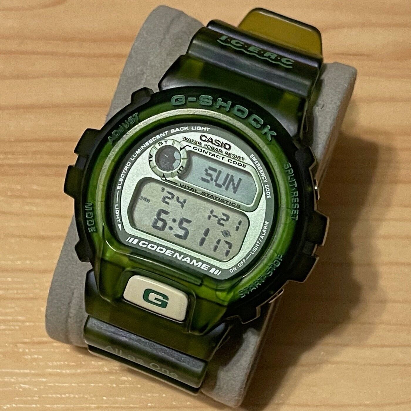Casio G-Shock DW-6910K-3T ICERC Dolphin Whale Custom Green Digital 