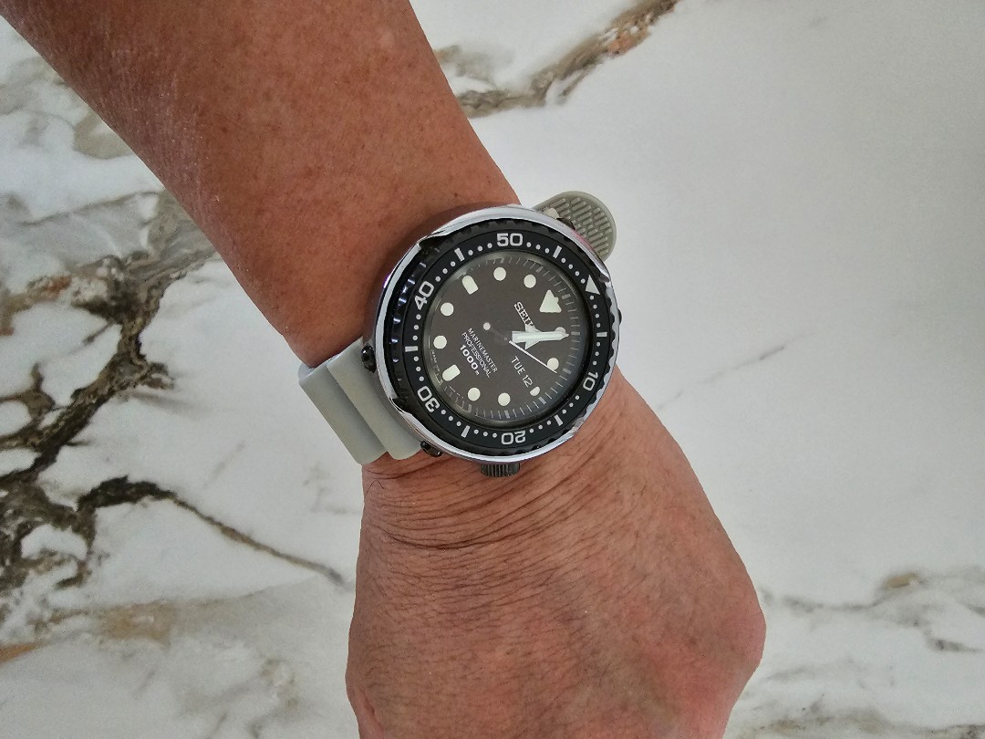 Seiko Marine master(Tuna Platinum) - SBBN029 | WatchCharts