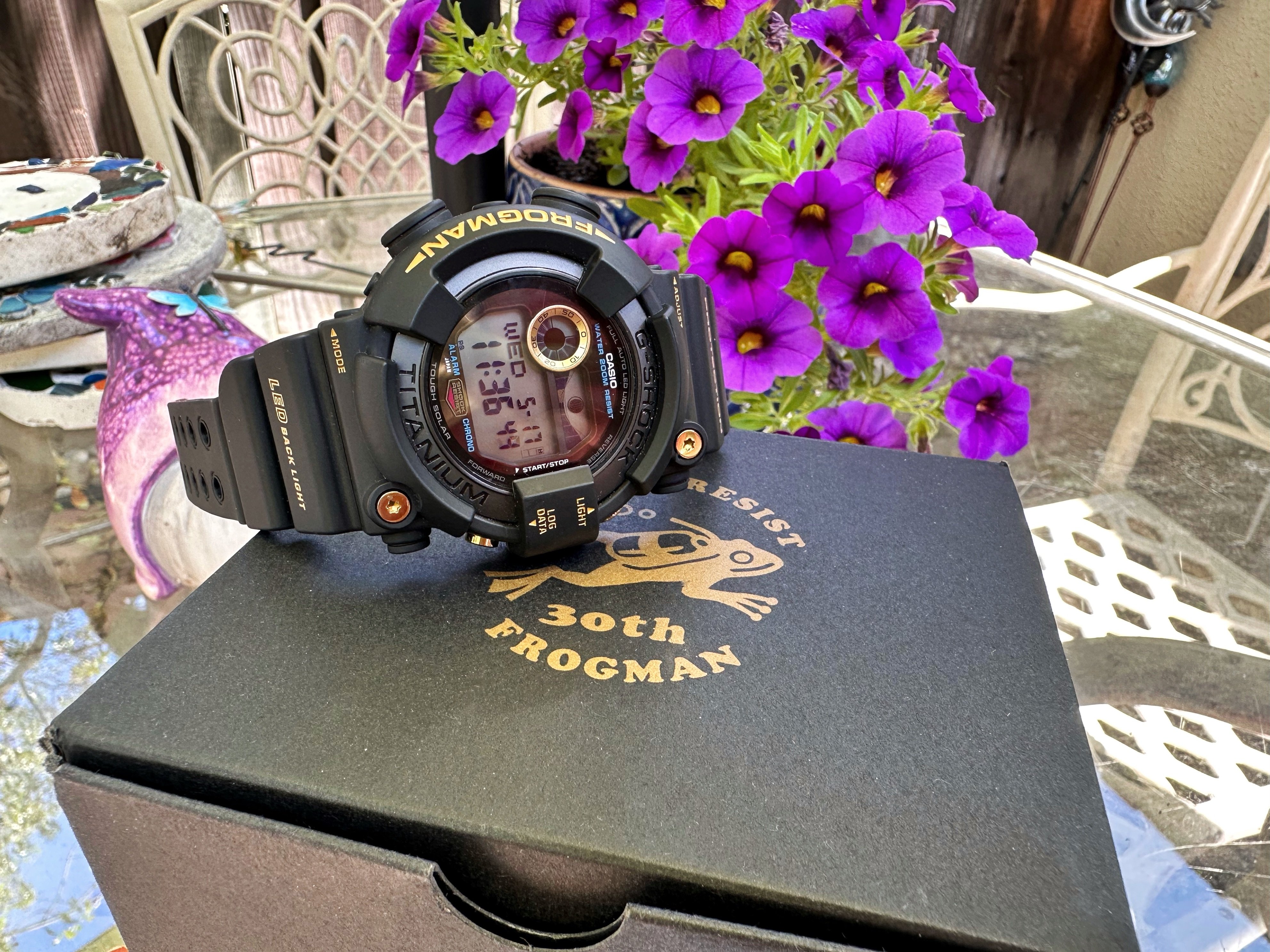 g shock frogman purple