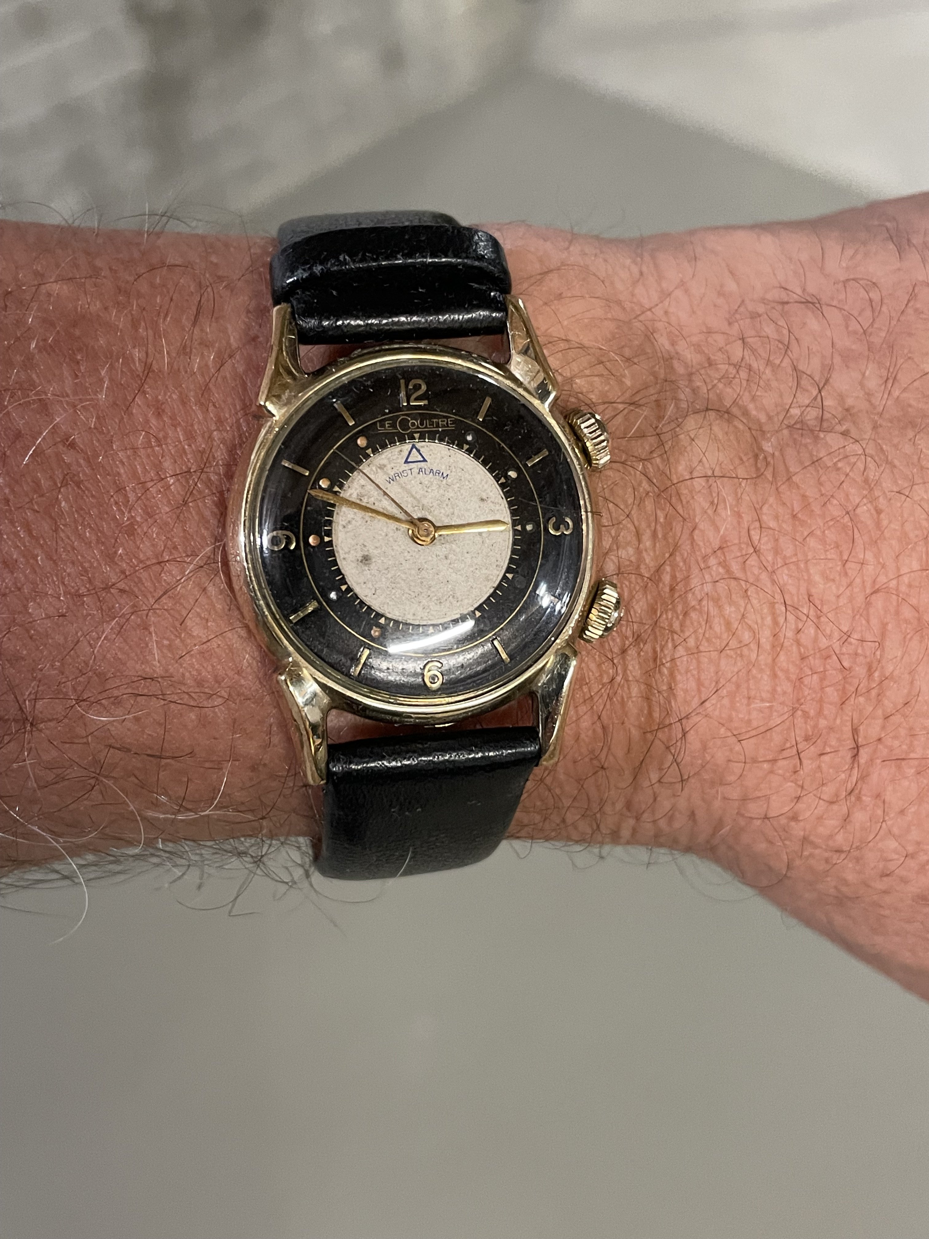 Tuxedo Dial JLC Memovox WatchCharts