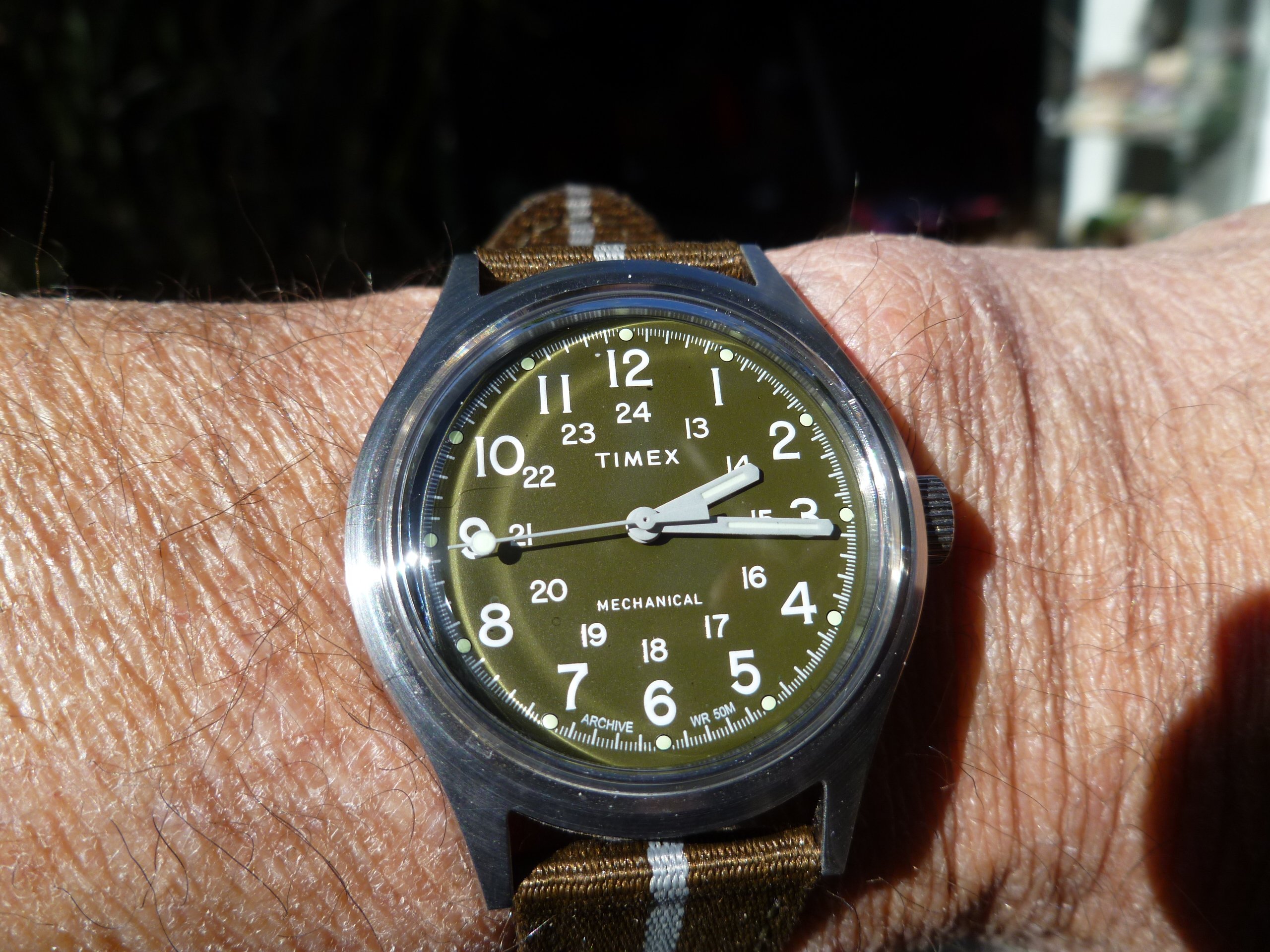 Timex mk1 2024 mechanical