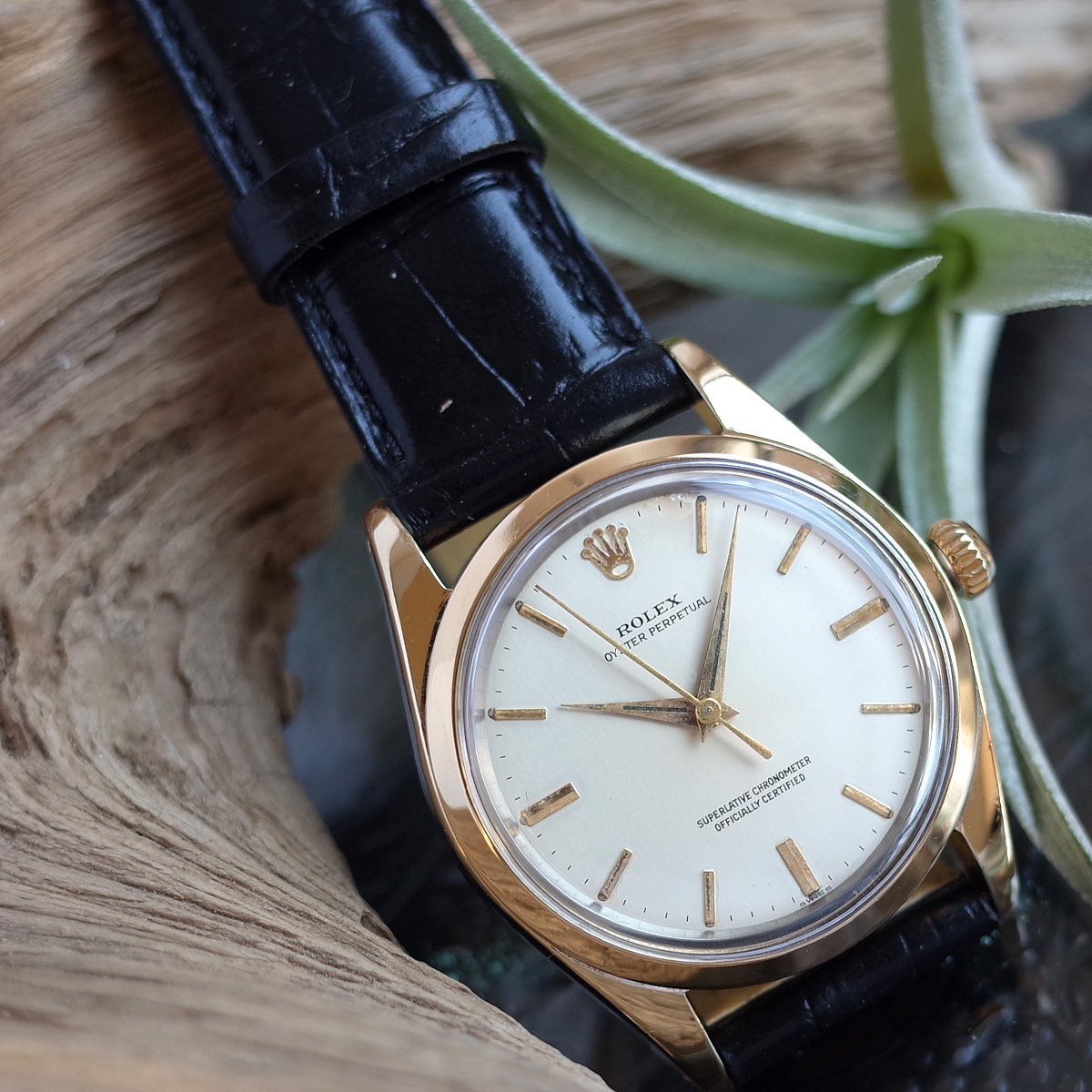 Rare Rolex 1014 1959 Oyster Perpetual SS Cap Gold Dolphin Needle