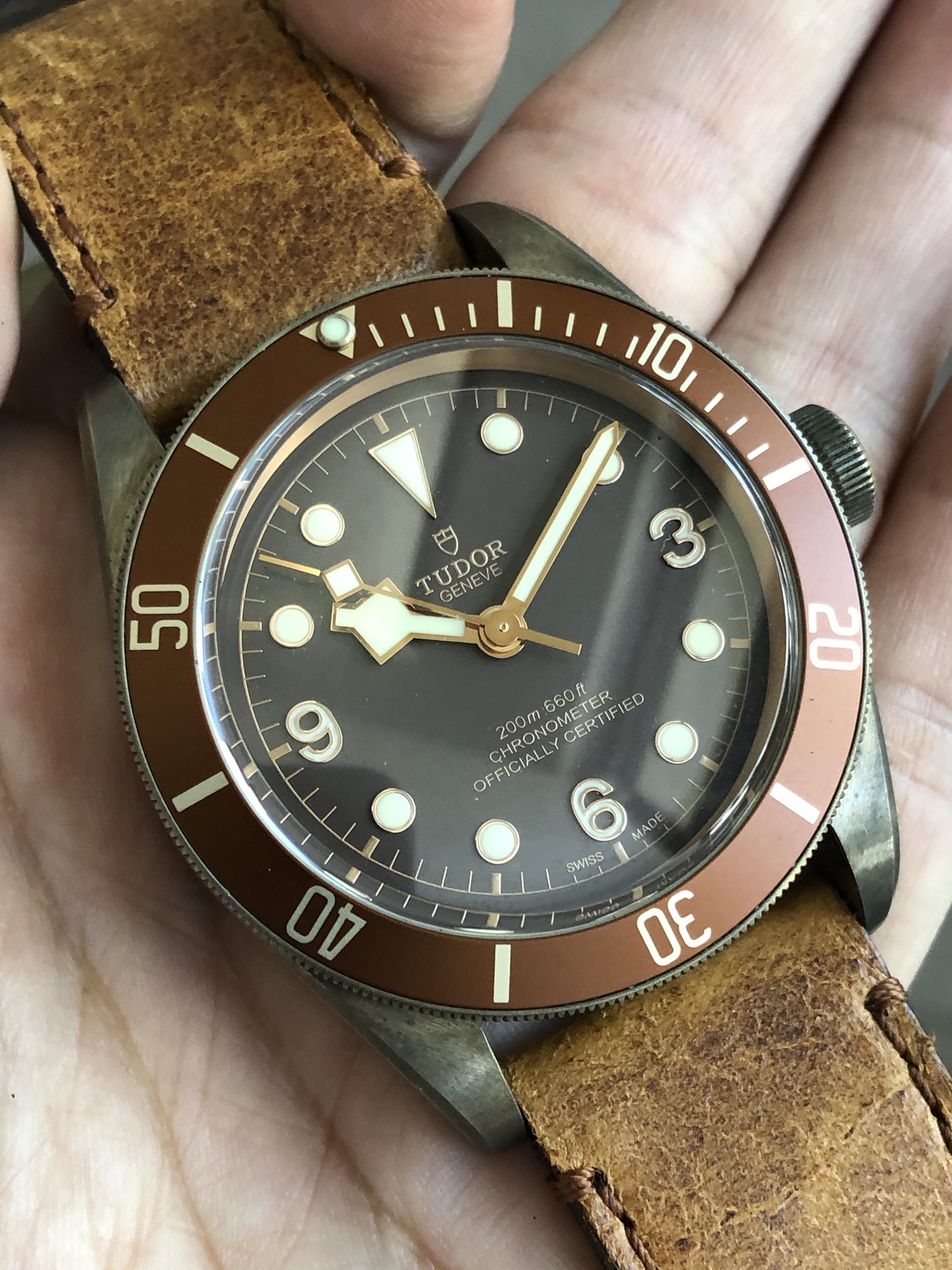 Tudor bronzo 2024