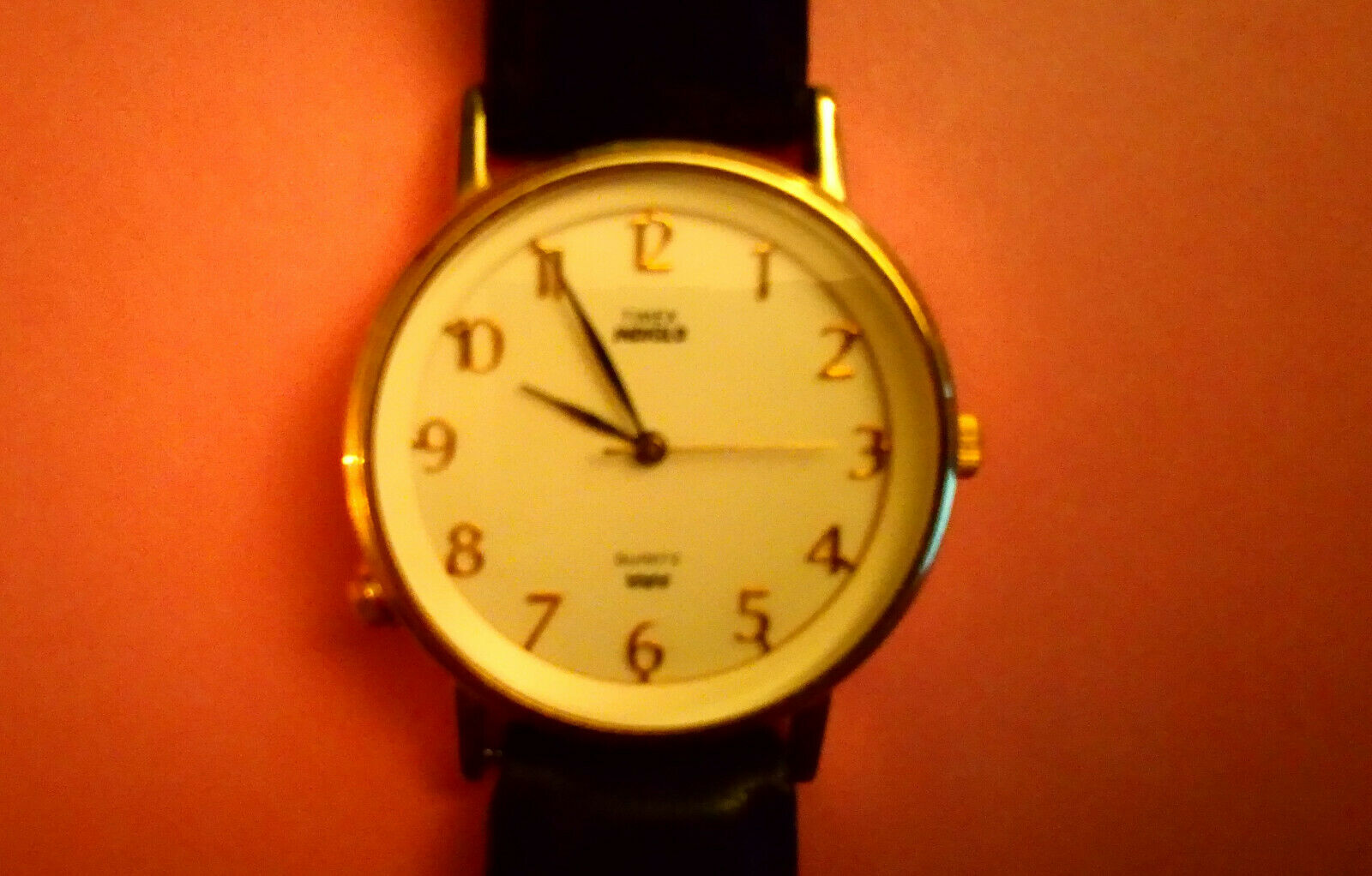 Timex Indiglo Easy Reader Women's Date Watch 6.5