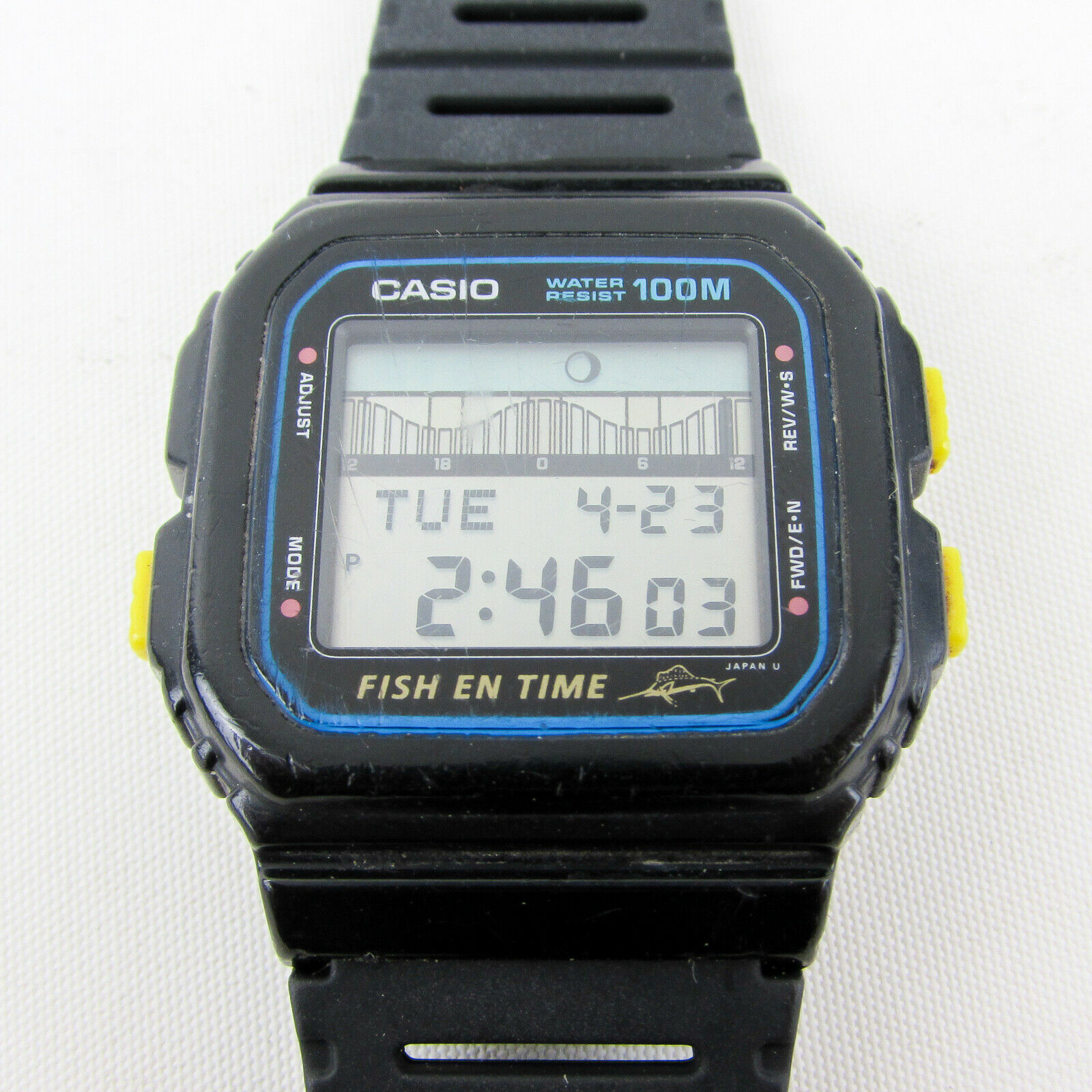casio fish in time