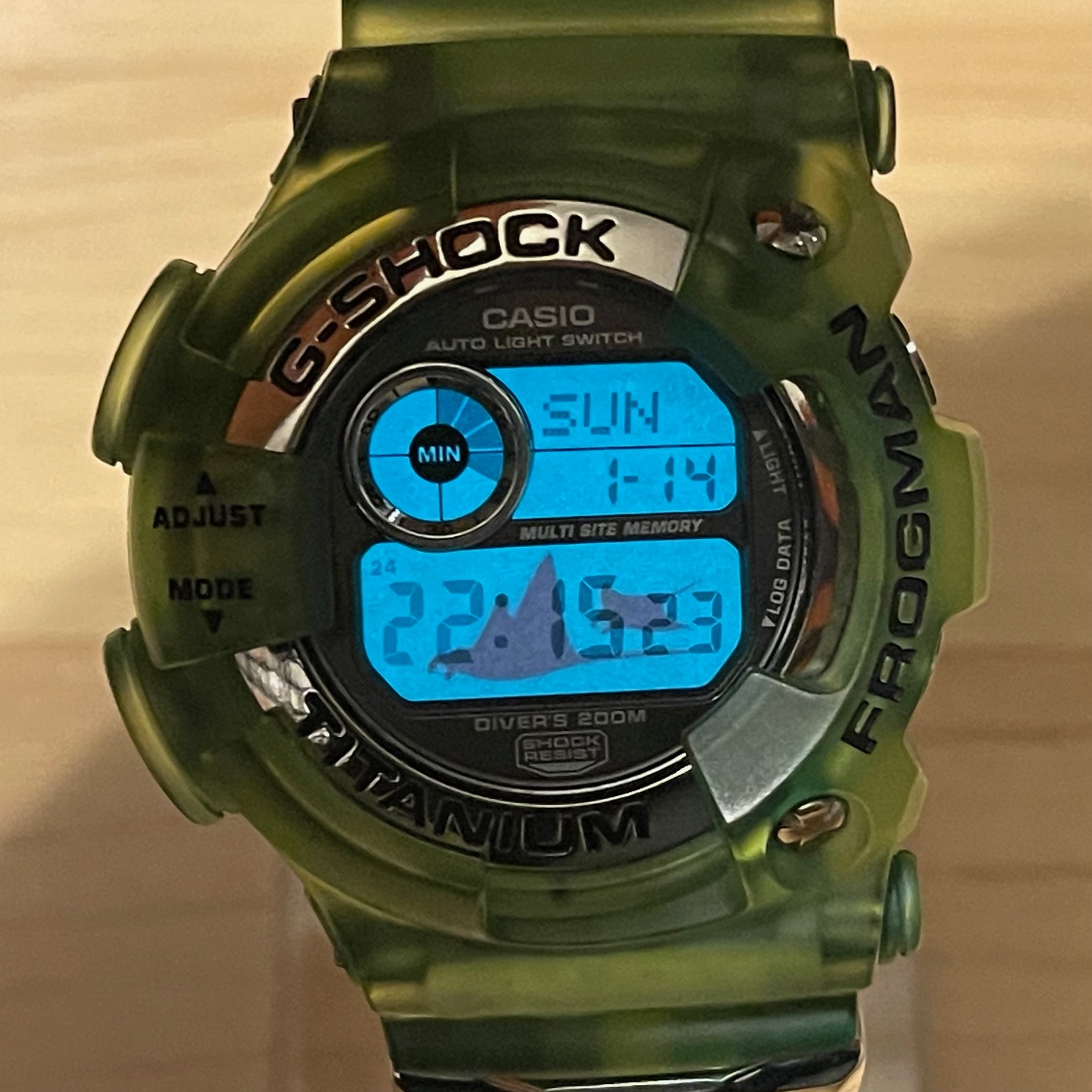 WTS Casio G Shock DW 9900WC 1T WCCS Kermit Green Titanium Frogman