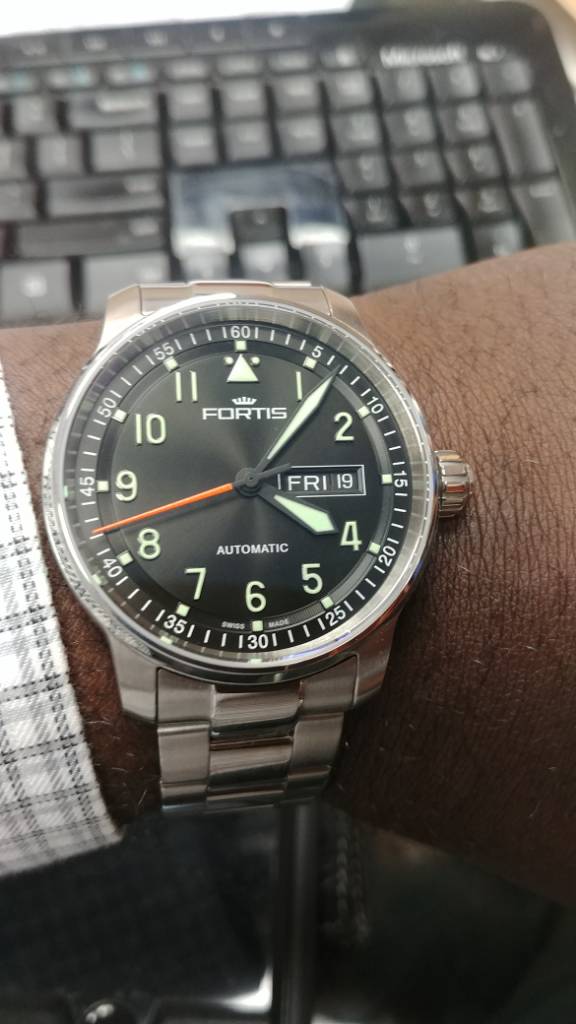 Fortis flieger online professional