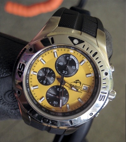 casio mdv 501