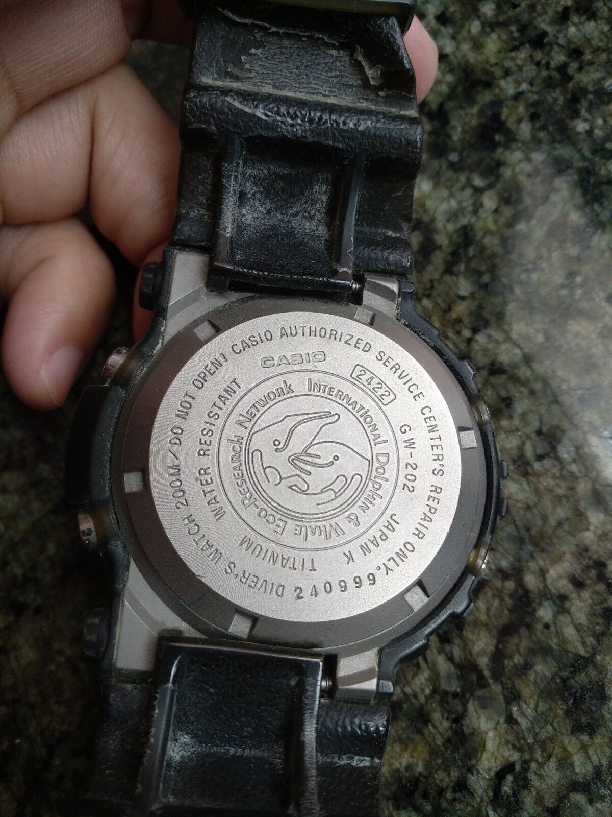 G-SHOCK x I.C.E.R.C Frogman GW-202 GW202 vintage Gshock 2422 