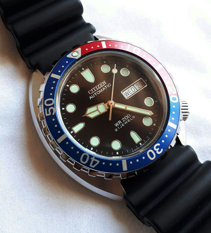 citizen dolphin diver
