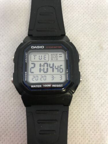 casio illuminator 3240