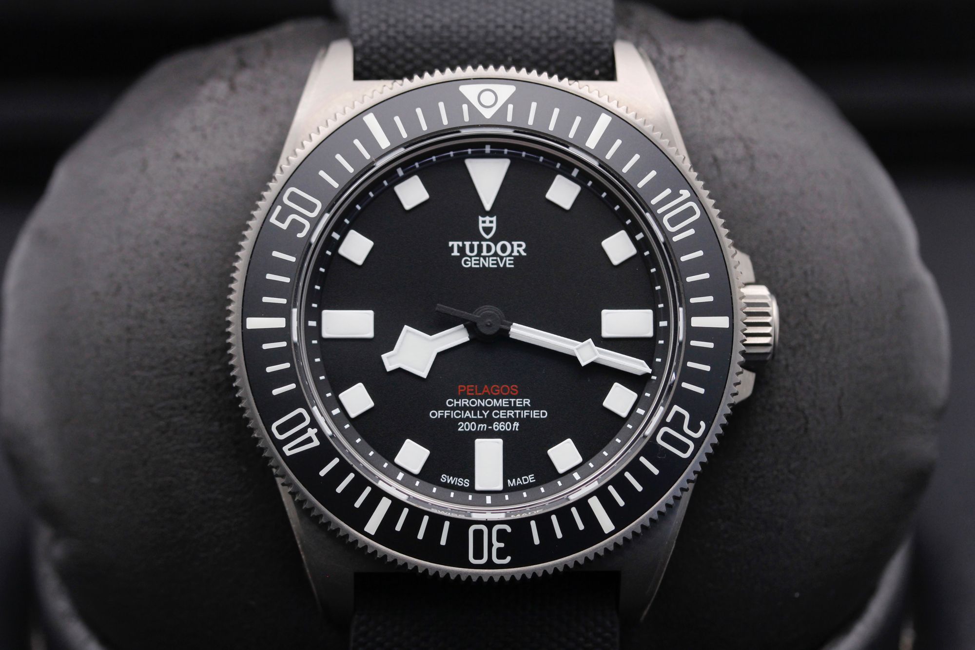 Tudor pelago clearance