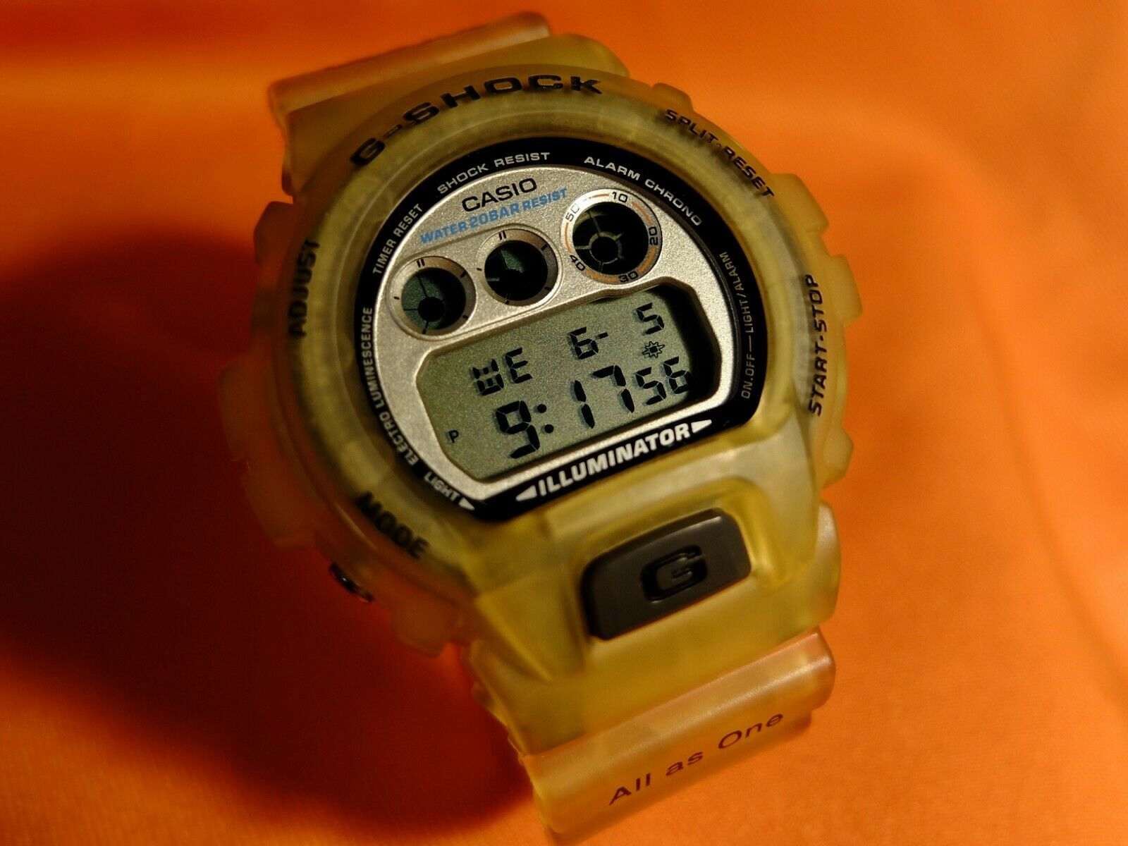 Casio 1996 5th dolphin and whale conference G-shock watch