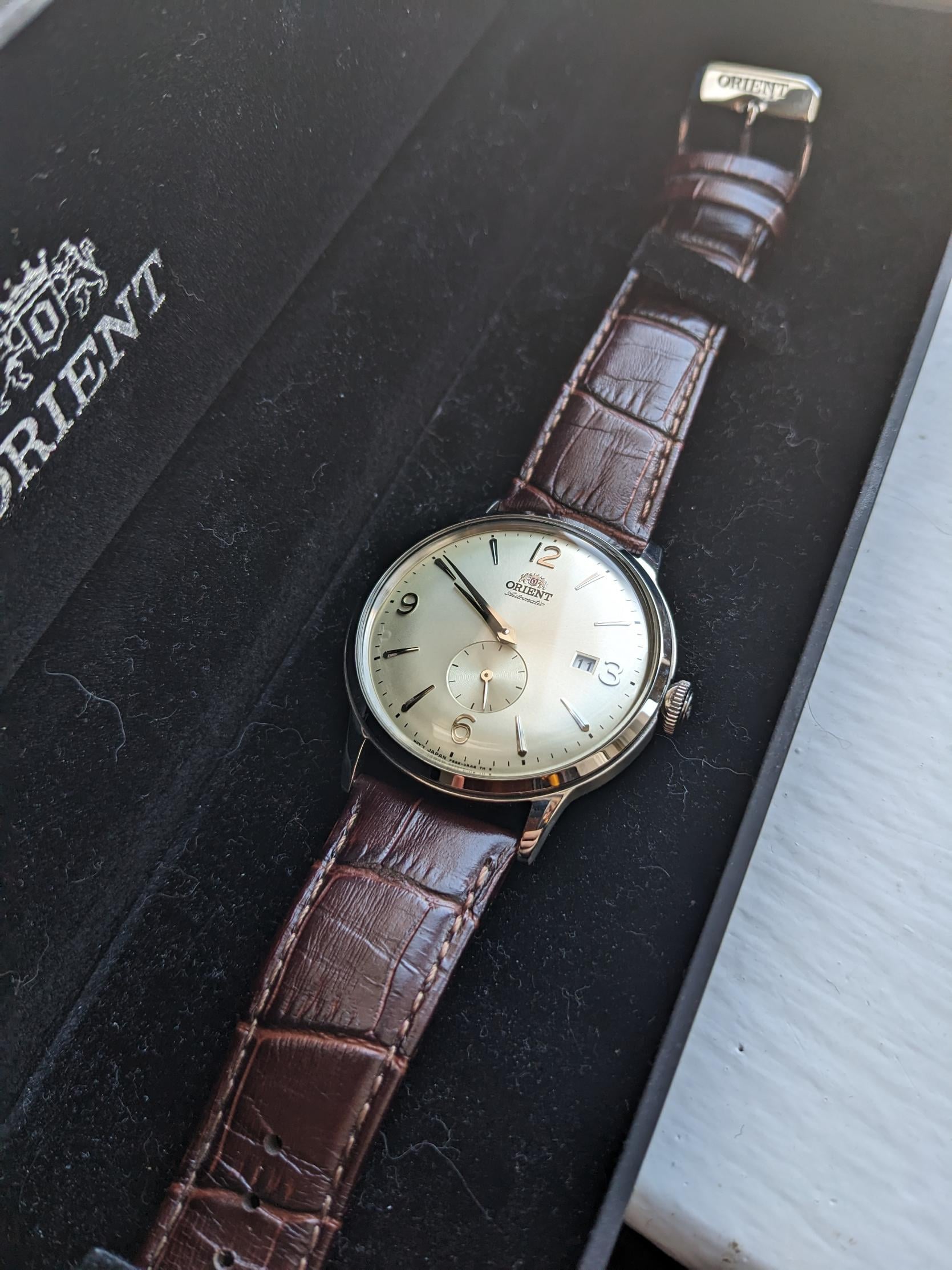 Orient bambino champagne online dial