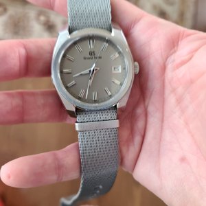 Wts Grand Seiko SBGV245 Grey Beast | WatchCharts