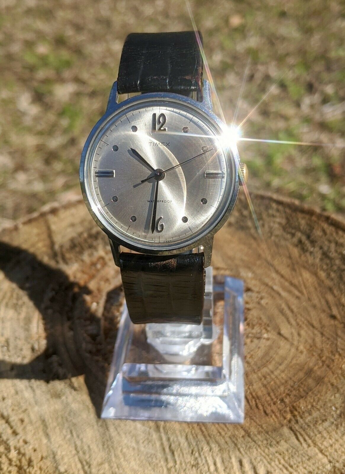 1967 2024 timex marlin