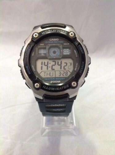 casio module 3199