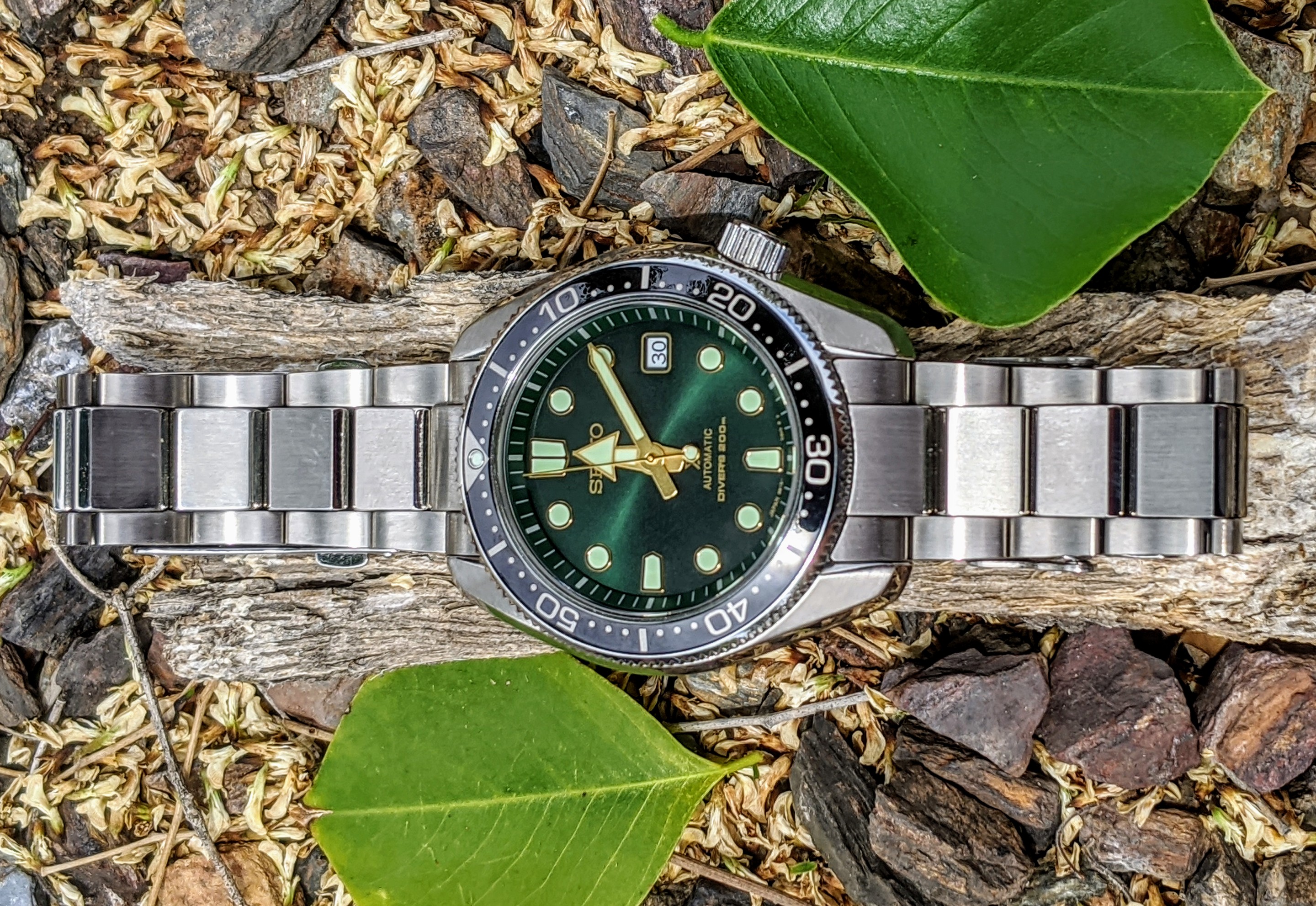 Seiko spb105j1 outlet review