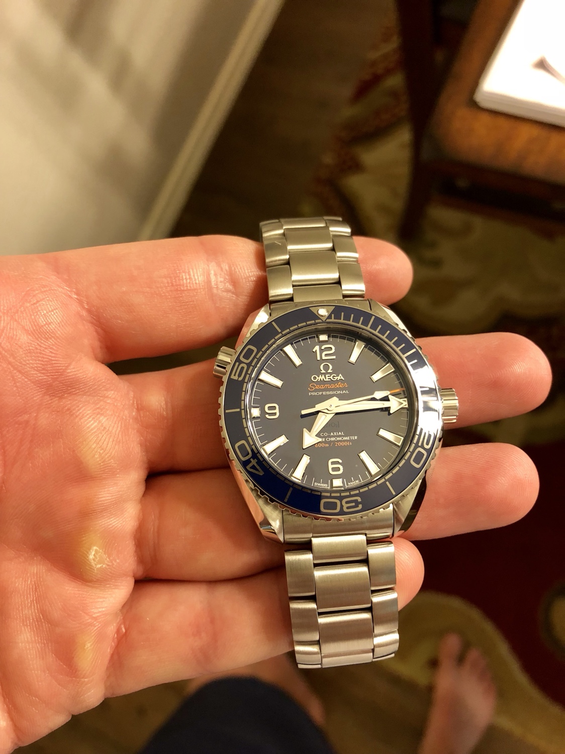 Omega 39mm 2024 planet ocean