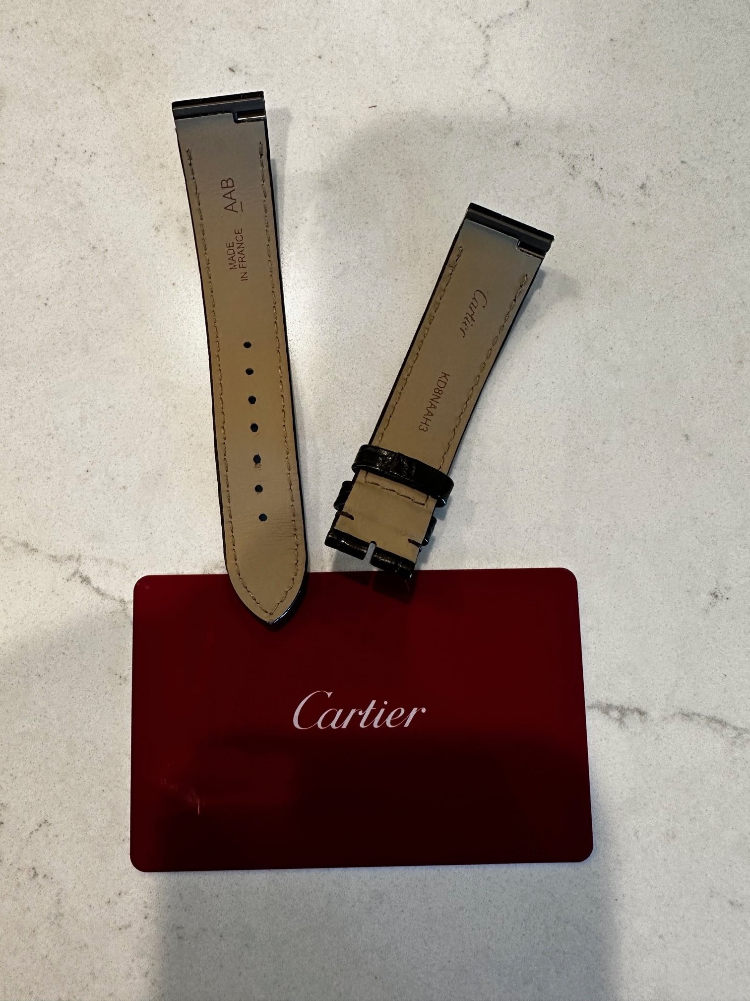 WTS Cartier Santos Dumont WGSA0027