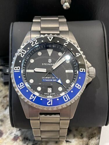 Steinhart 2021 online