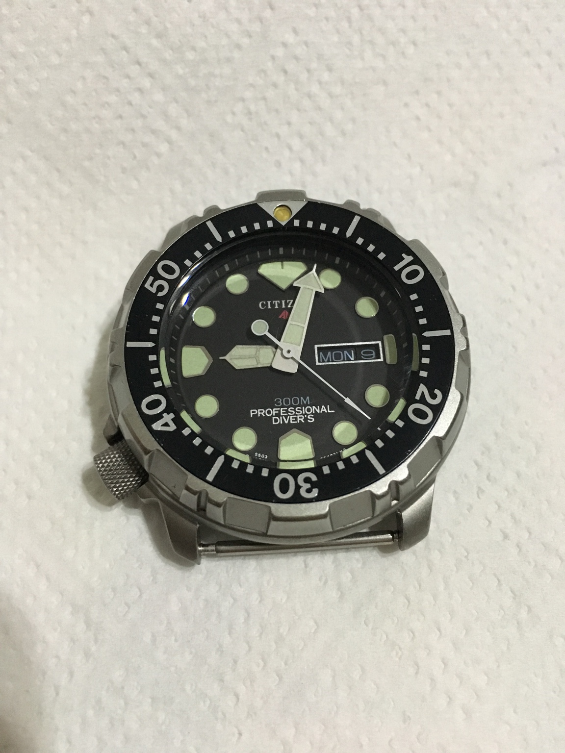 citizen professional diver 300m titanium