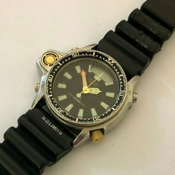 Citizen 1990s Vintage Aqualand Promaster 200m C022-088093 Y
