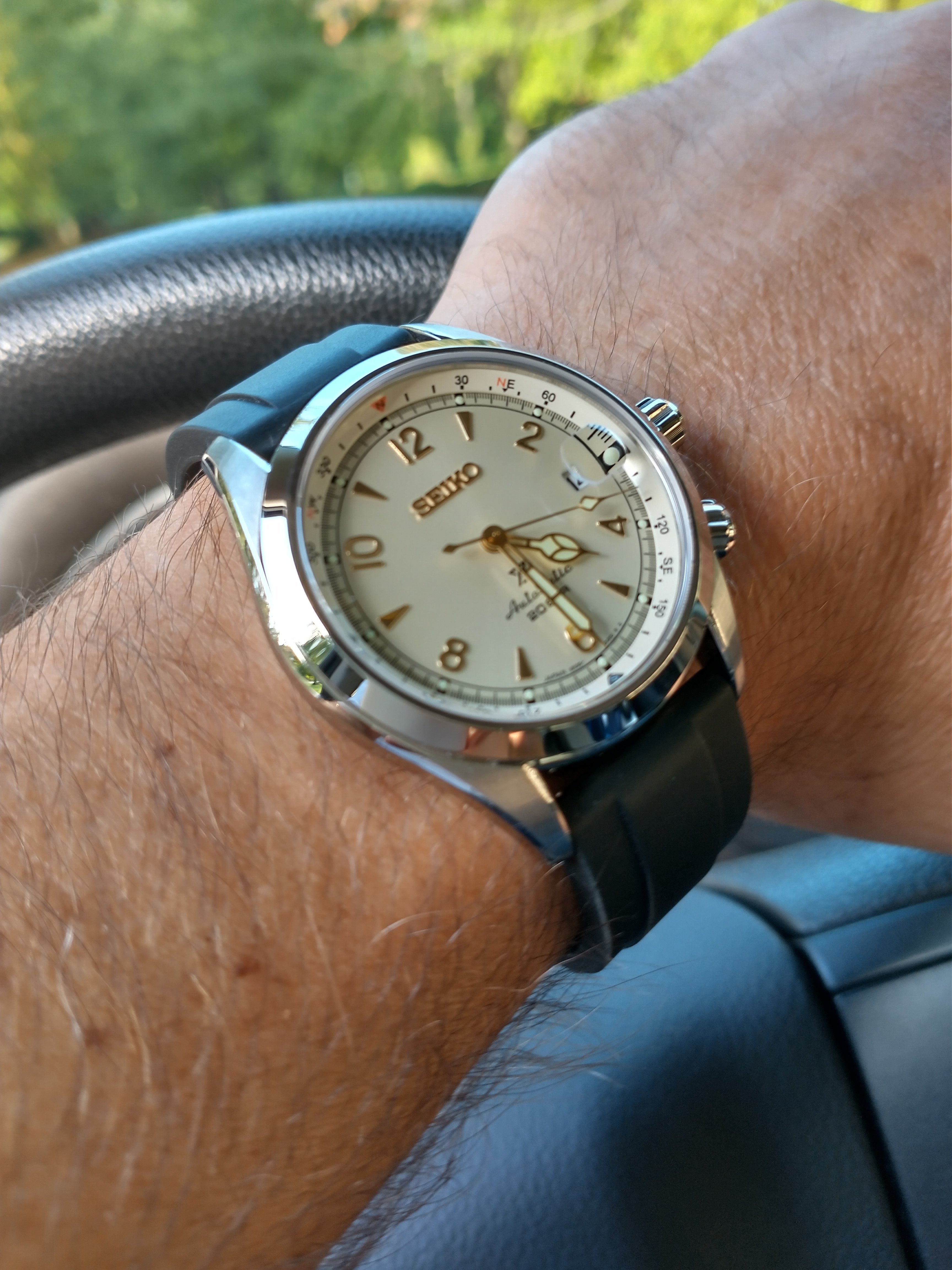 FS Seiko Alpinist SBDC093 excellent condition | WatchCharts 