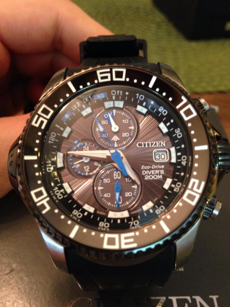 FS Citizen Promaster Diver Chronograph with Depth Gauge 300 WatchCharts