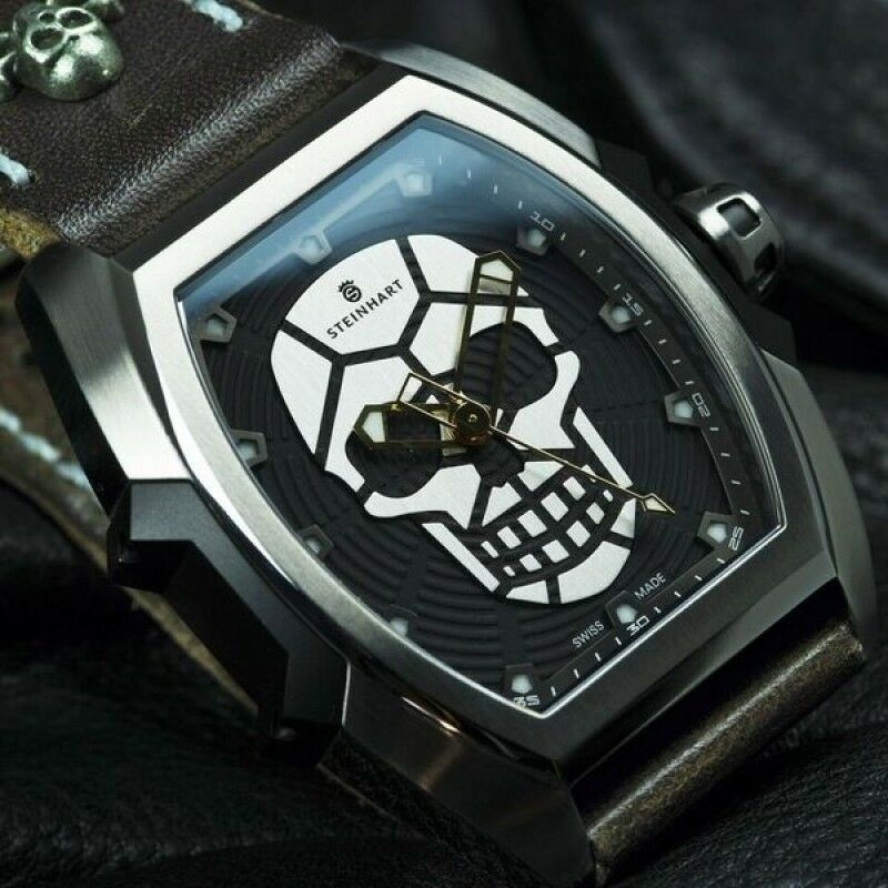 Steinhart skull 2024