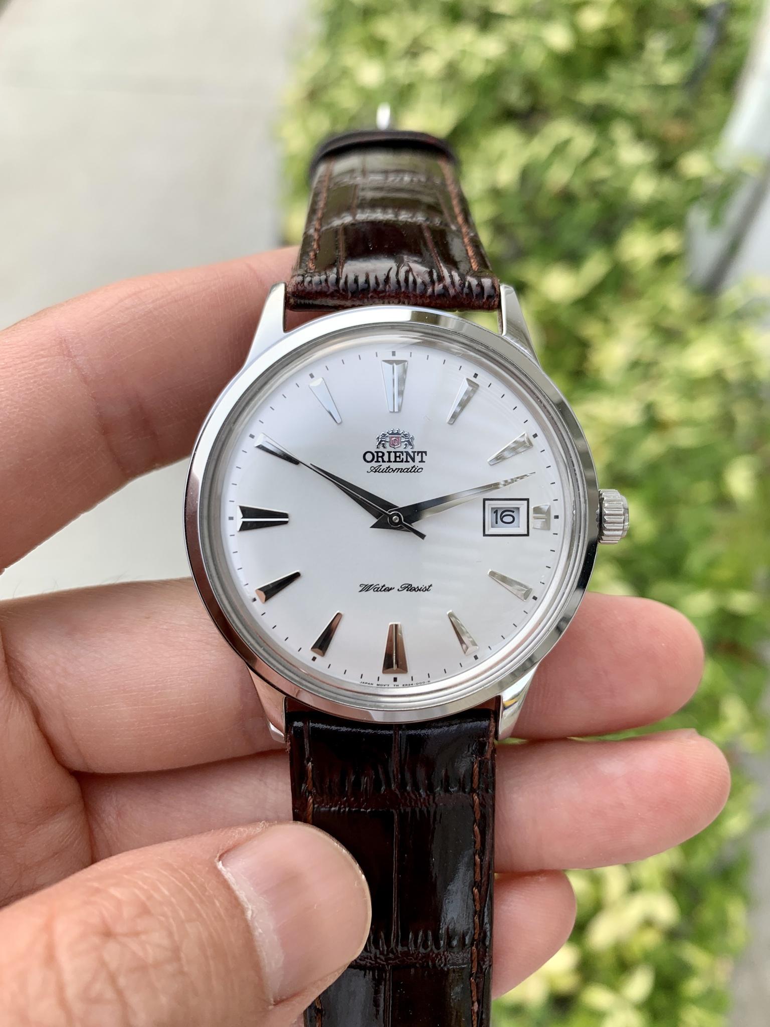 Orient best sale bambino v1