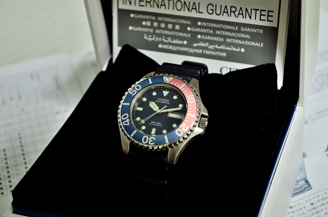 citizen dolphin diver