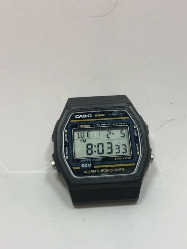 カシオ 時計 カジキ w-24A