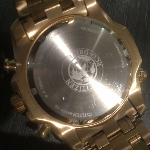 Citizen Eco-Drive perpetual Calendar Watch E820 BL5403-54E