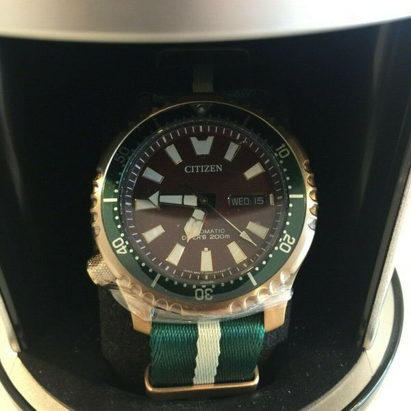 Citizen Fugu Asia Limited Edition NY0082-17XB Rose Gold Green