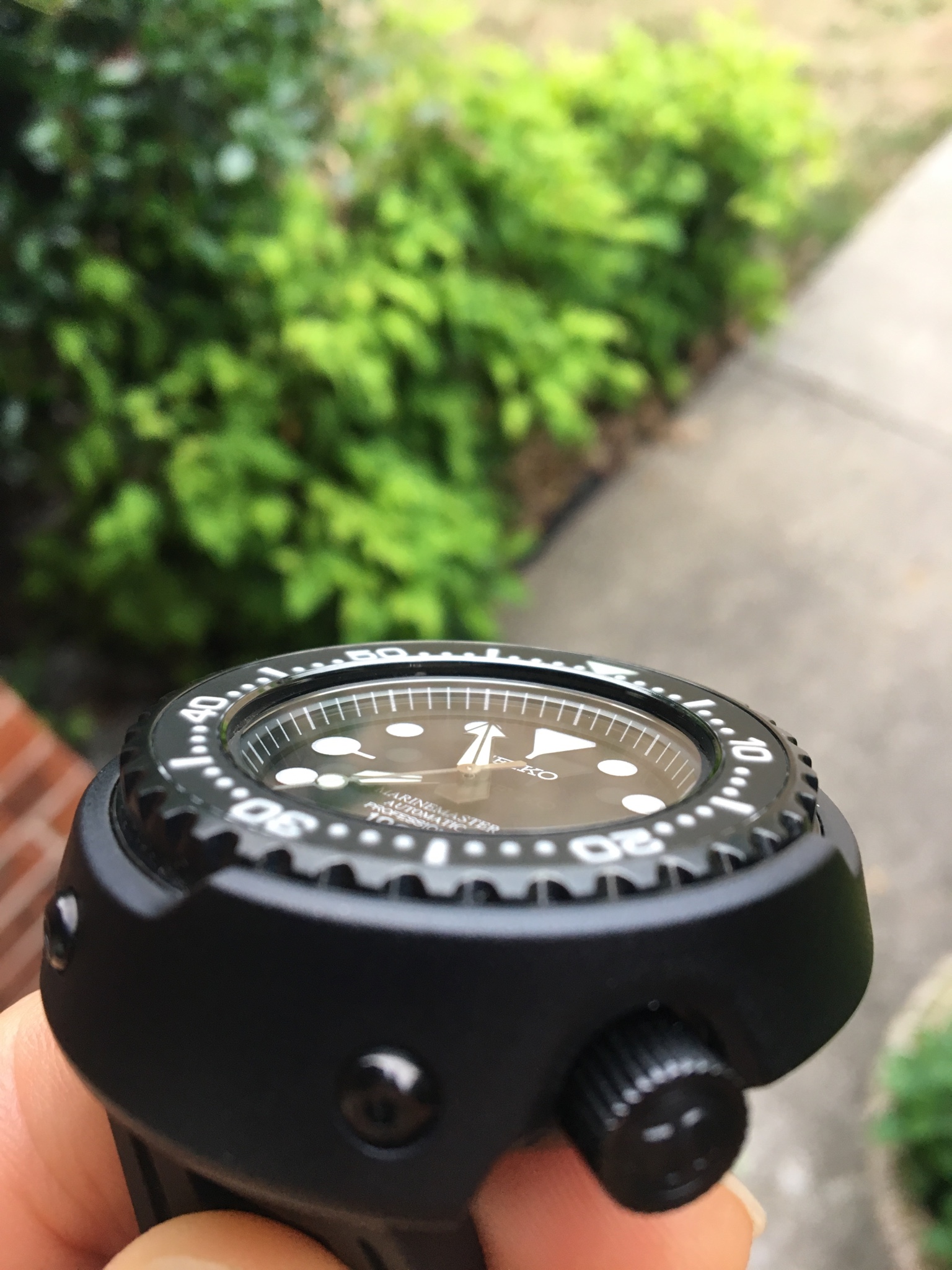Seiko sbdx011 hotsell