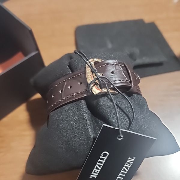 Cinturino Per Orologio Citizen AS4025-08E - Foto 10