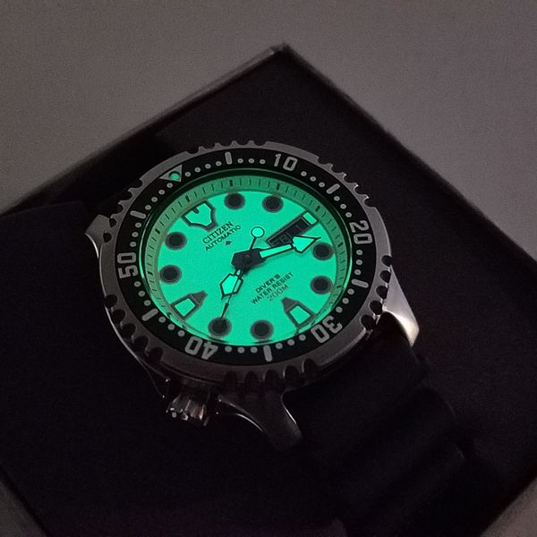 citizen diver ny0040