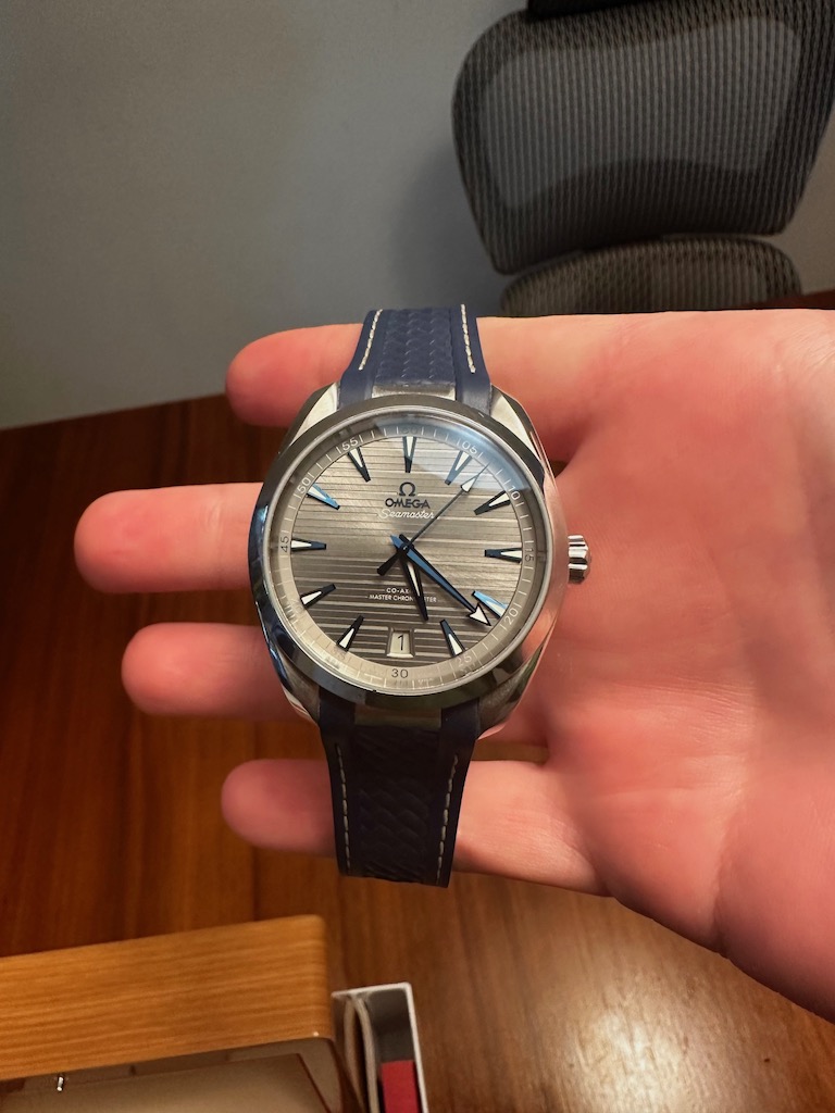 Aqua terra grey top dial