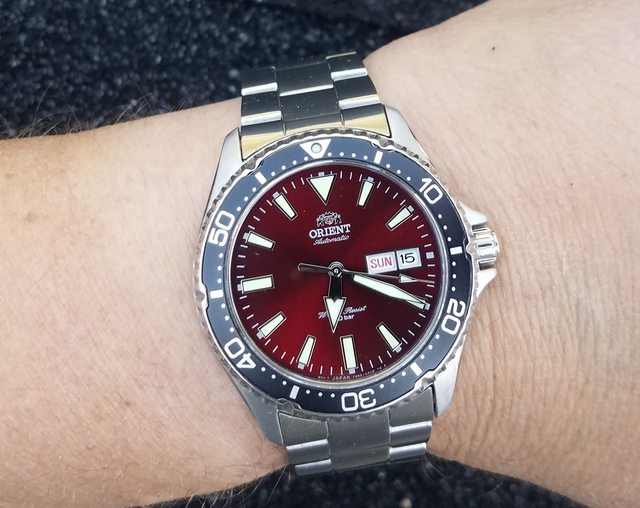 Orient best sale kamasu burgundy