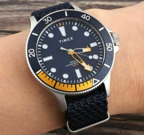 timex allied coastline blue